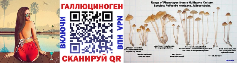 Галлюциногенные грибы ЛСД  Лесной 